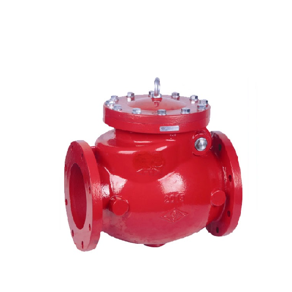 Check Valve (NRV)